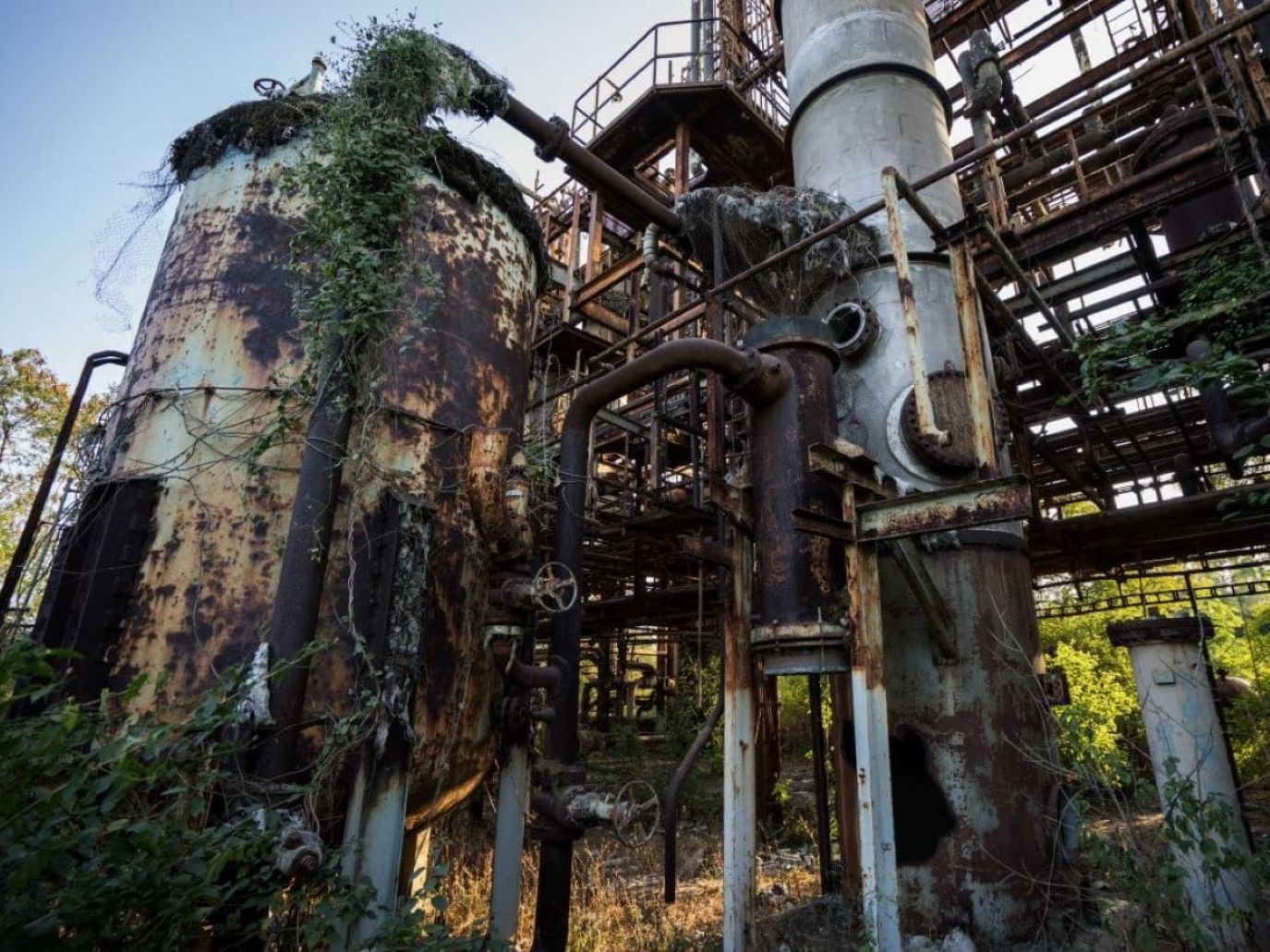 The Bhopal Disaster
