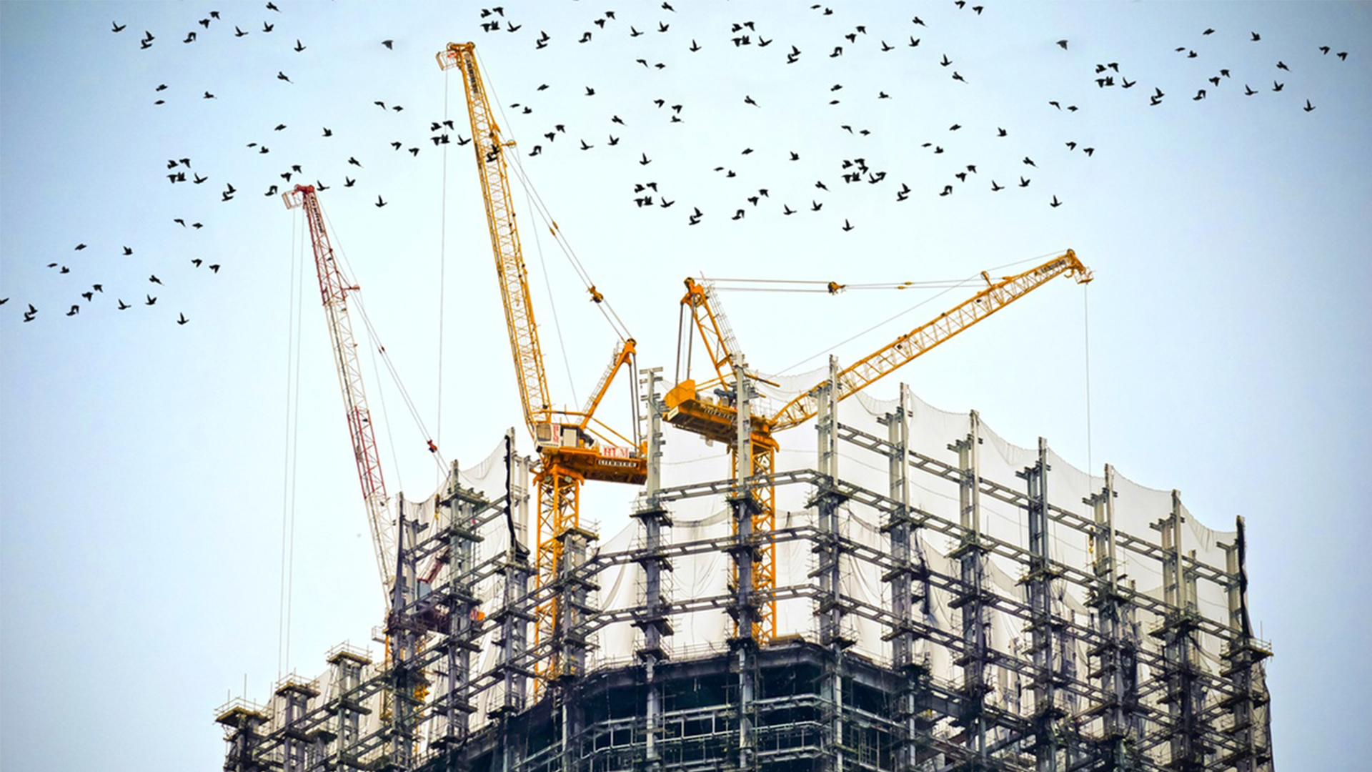Federal Court Upholds Sales Tax on Construction Services in Khyber-Pakhtunkhwa